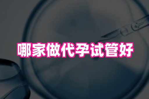 北京助孕网 1