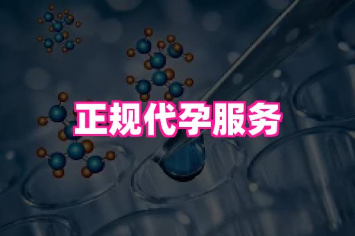 北京助孕网 2