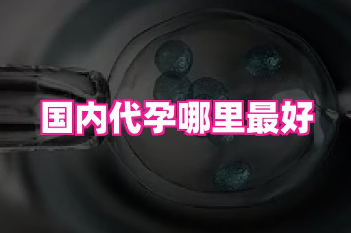 北京助孕网 4